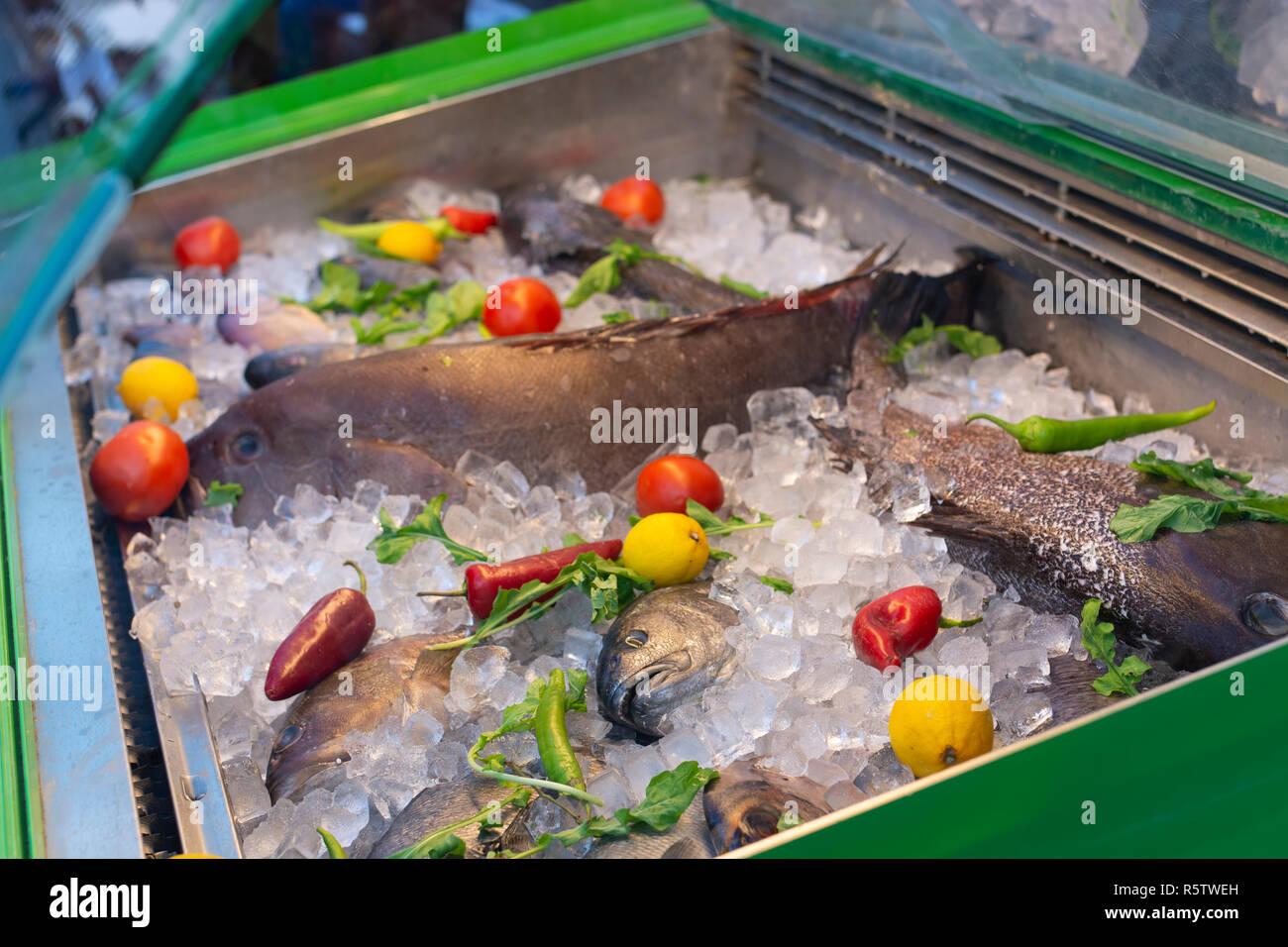 Seafood and fish fridge with fresh fish and seafoods Stock Photo Alamy