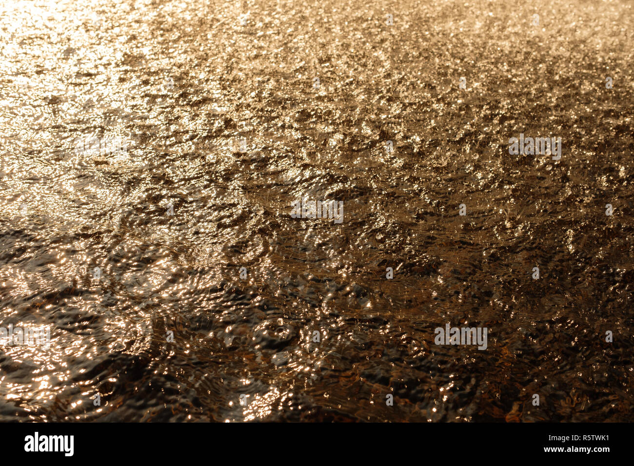 Backlit Rain summer rain in the back light with raindrops and water Stock Photo - Alamy