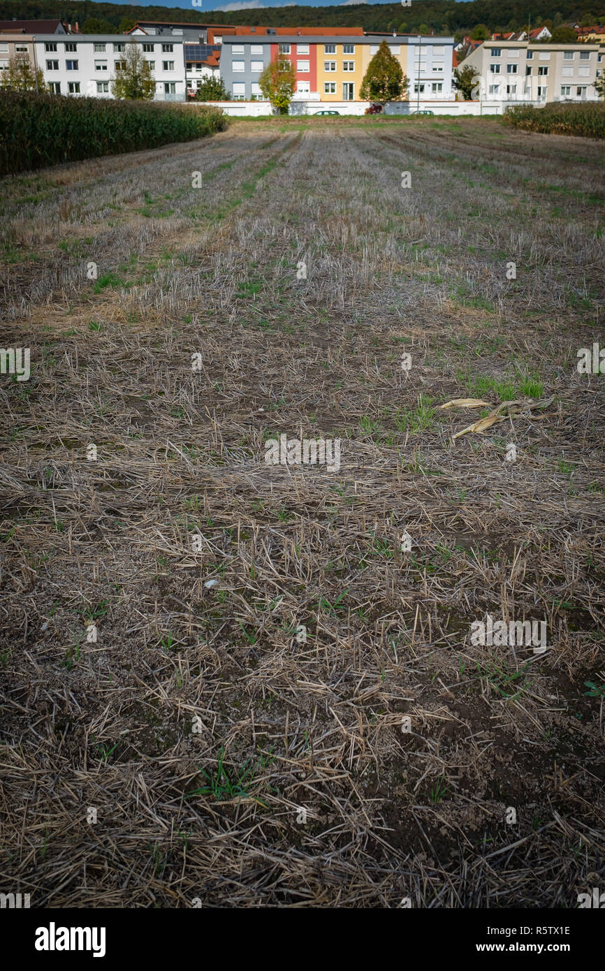 field after harvest in portrait format Stock Photo - Alamy