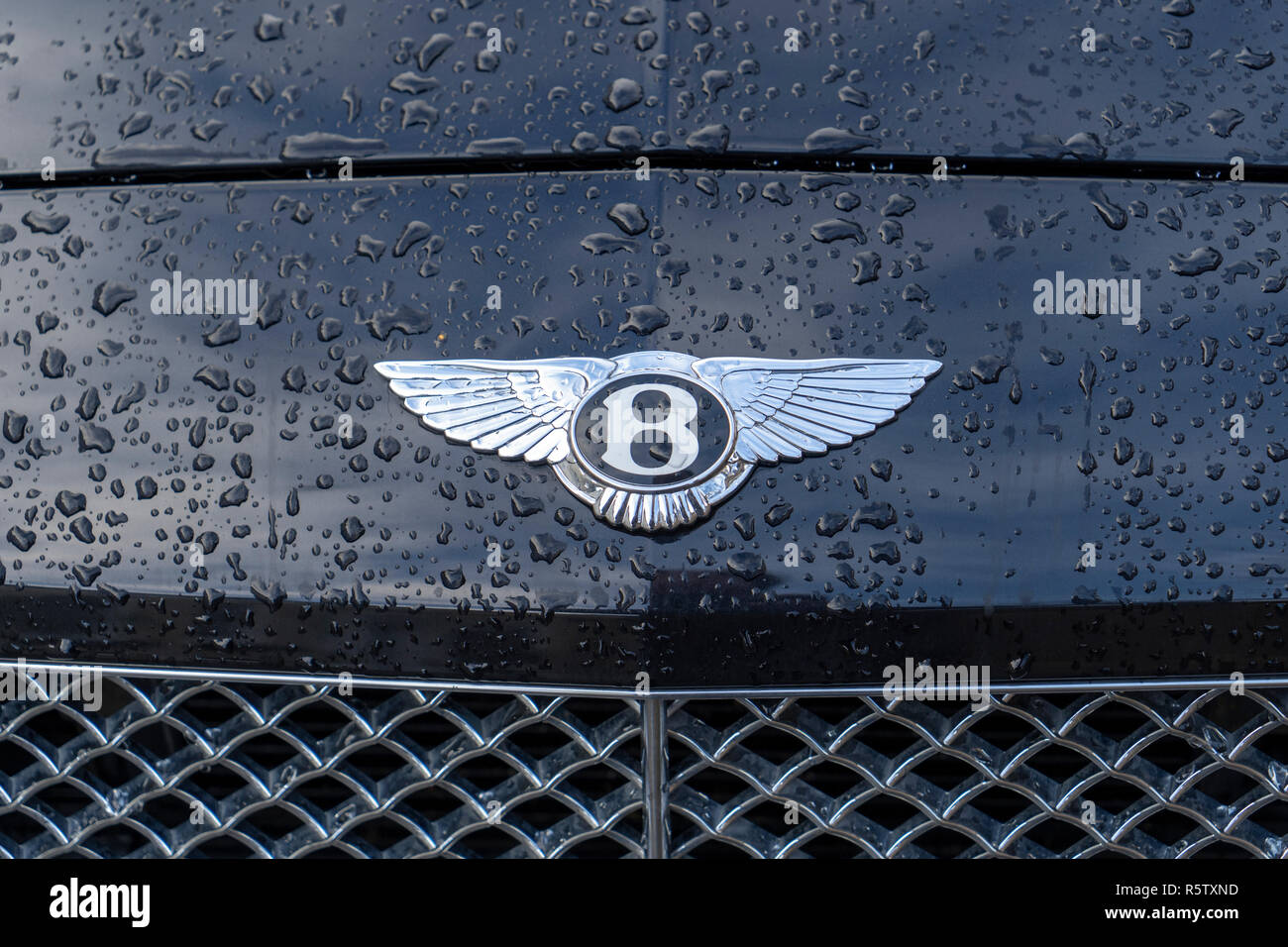 Bentley car badge Stock Photo Alamy