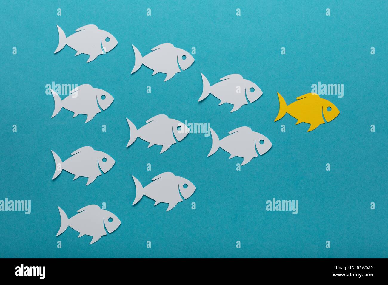 Concept Of White Fishes Following Yellow Fish Stock Photo