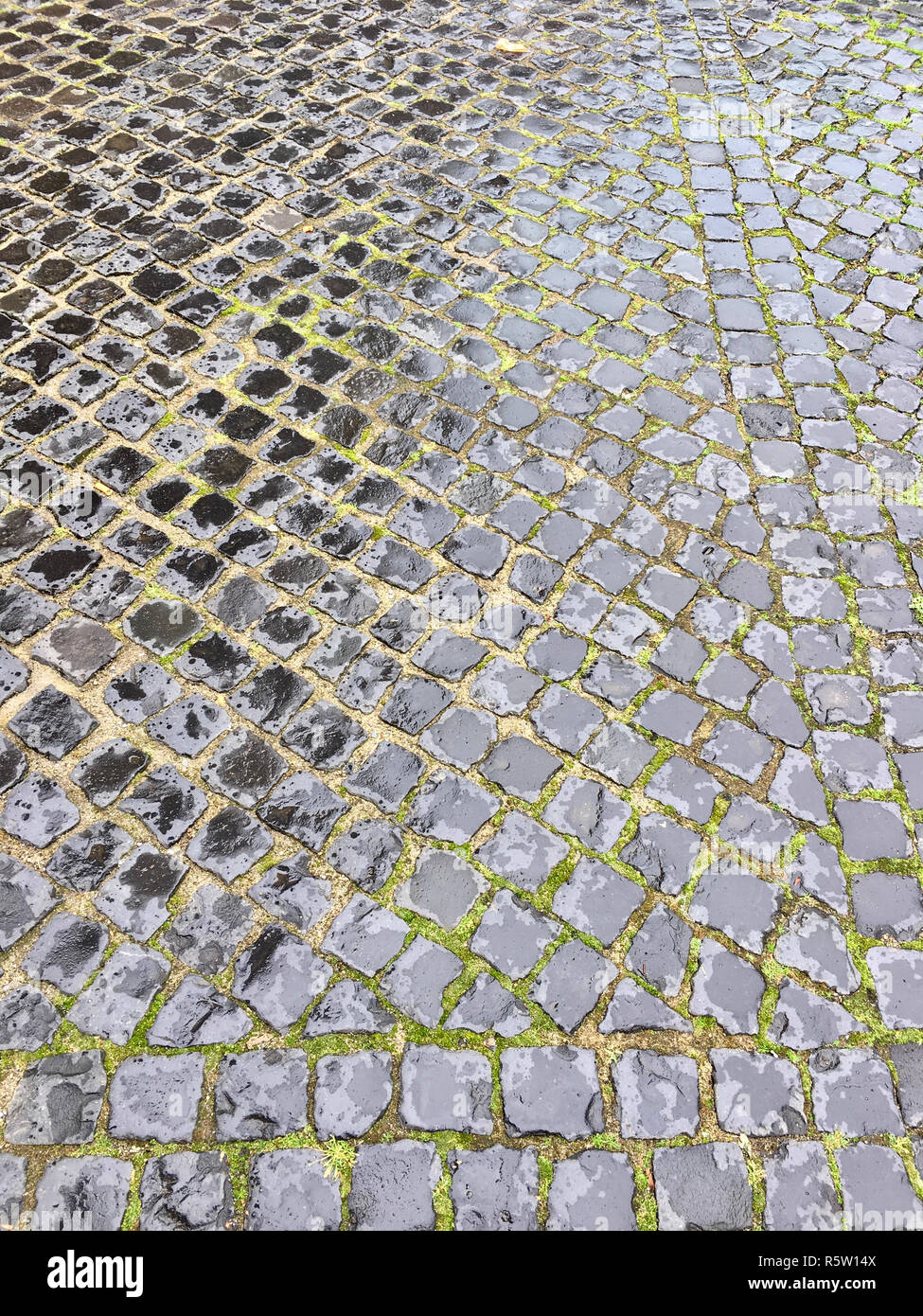 footpath with cobblestone in the village Stock Photo