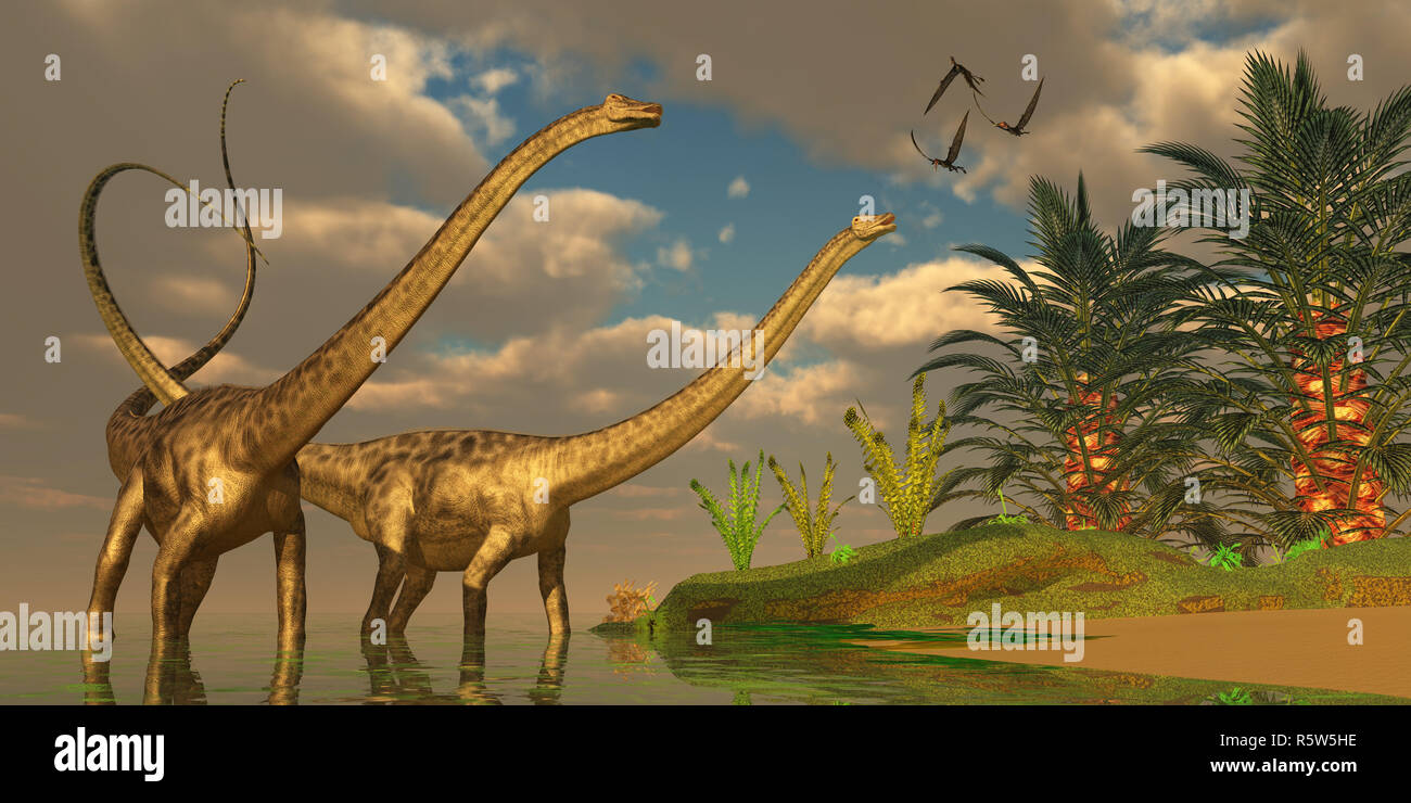 Diplodocus Dinosaur Romance Stock Photo - Alamy