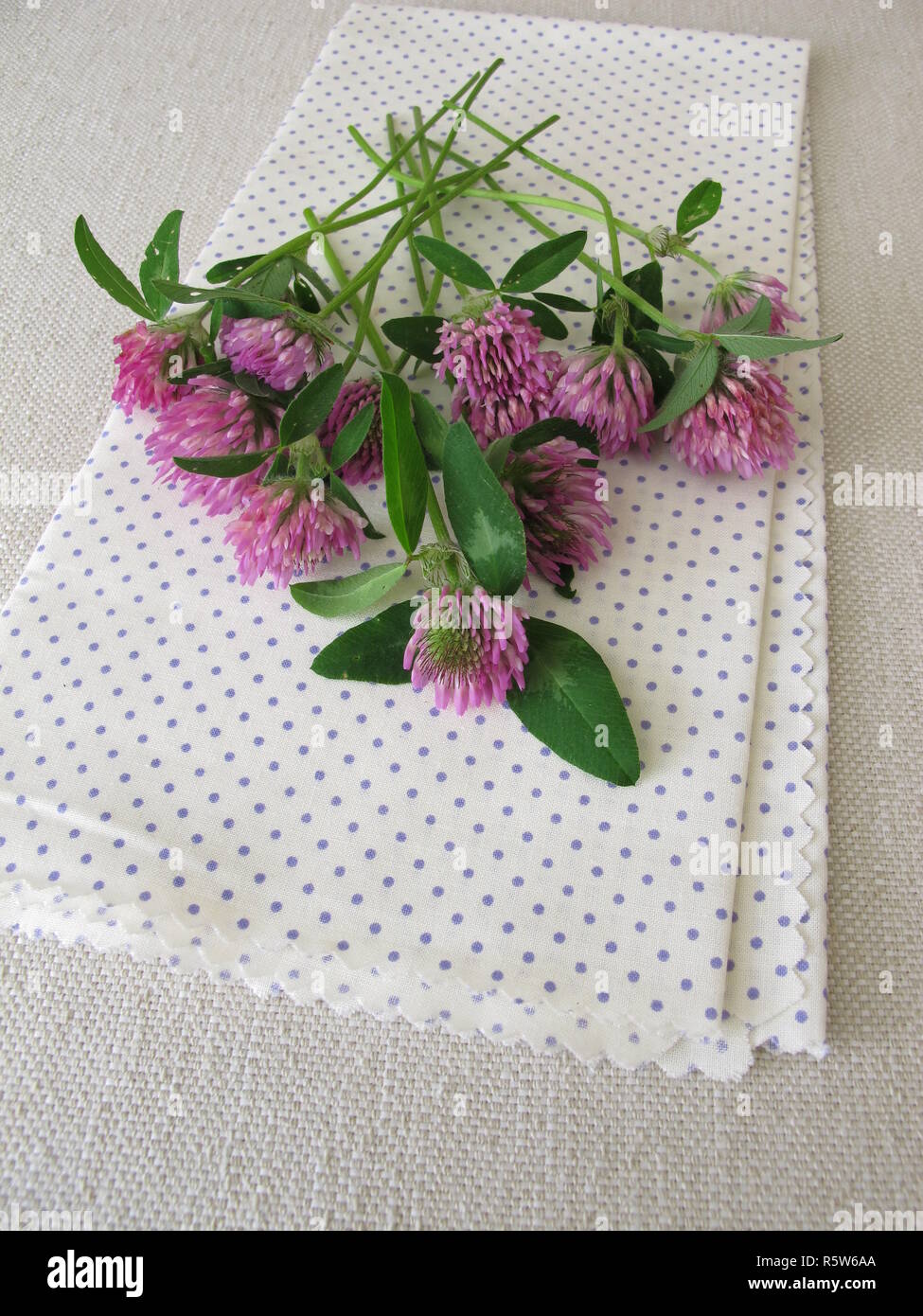 a bouquet of red clover Stock Photo