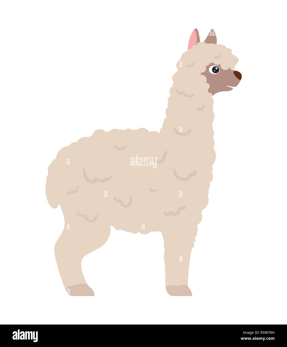 White lama alpaca, side view vector illustration, white background isolated. Stock Vector