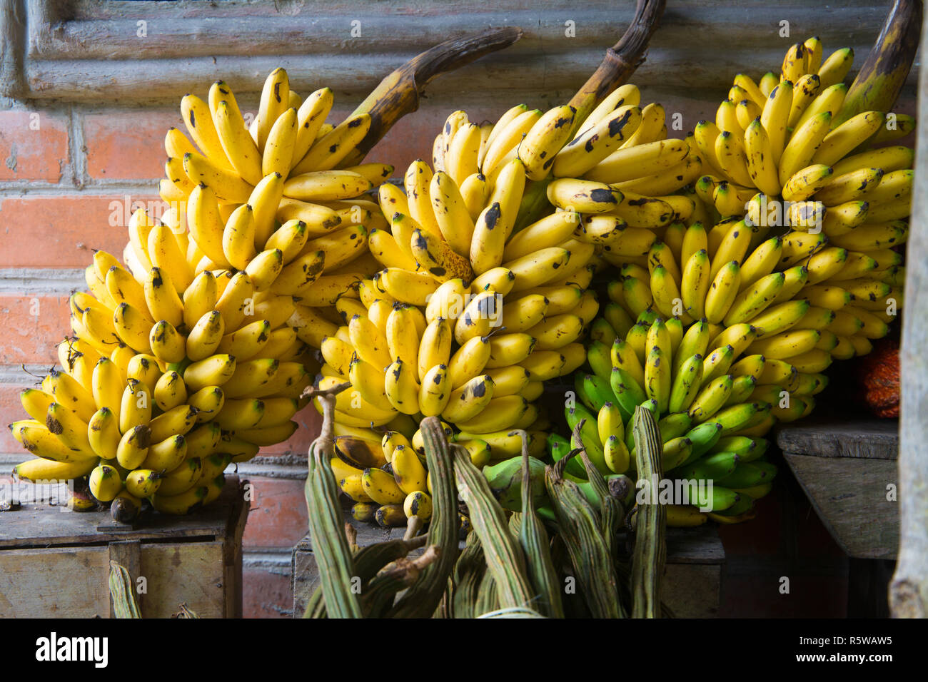 Bunches of bananas for sale at roadside fruit stall, Ecuador, 2018 Stock Photo Alamy