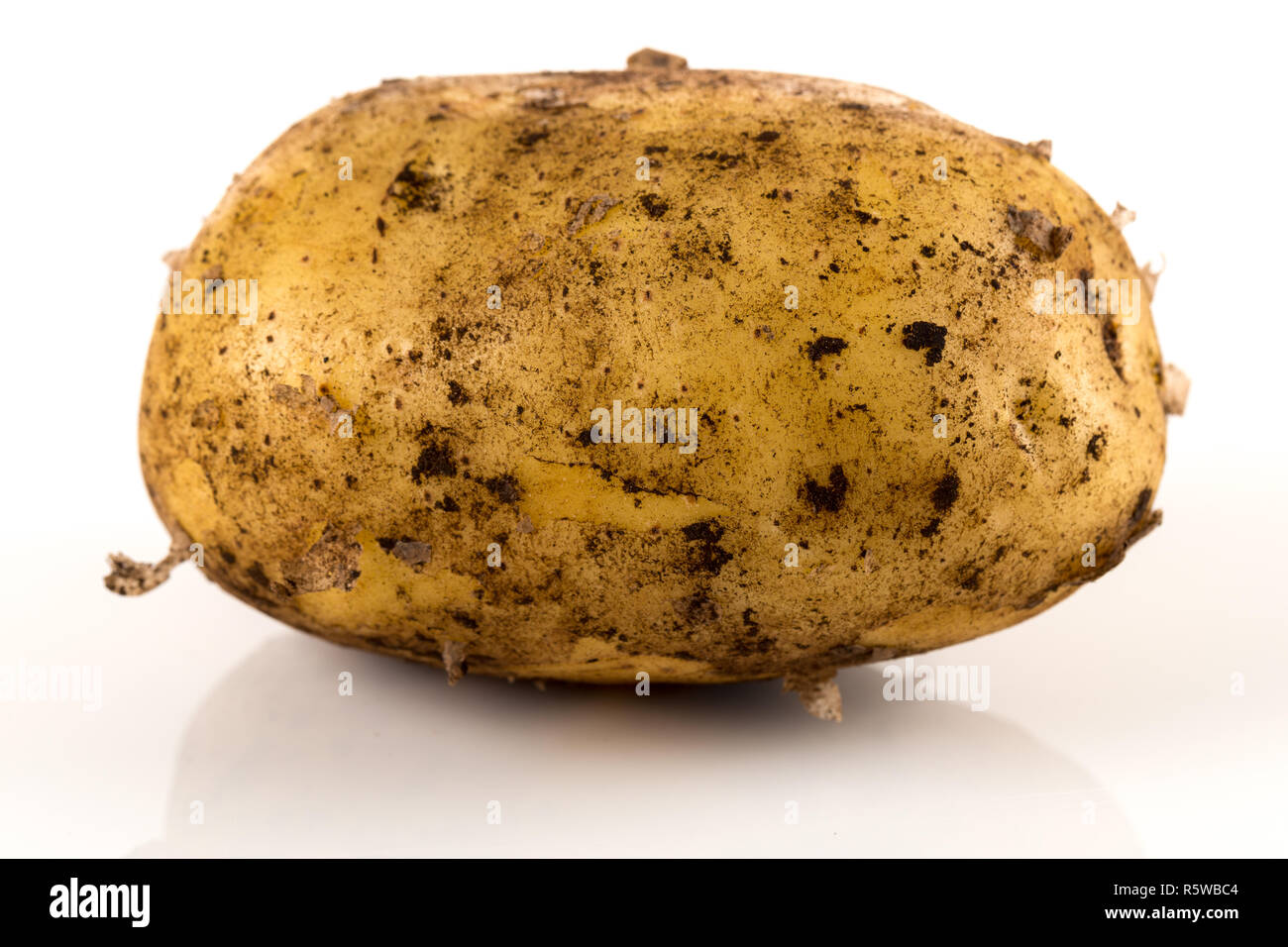 Dirty potato isolated on white background. Stock Photo