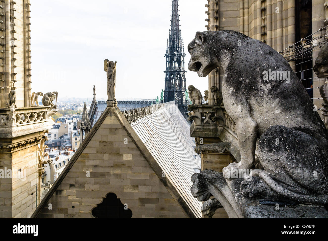 Paris france gothic sculpture angel notre dame viollet le duc hires