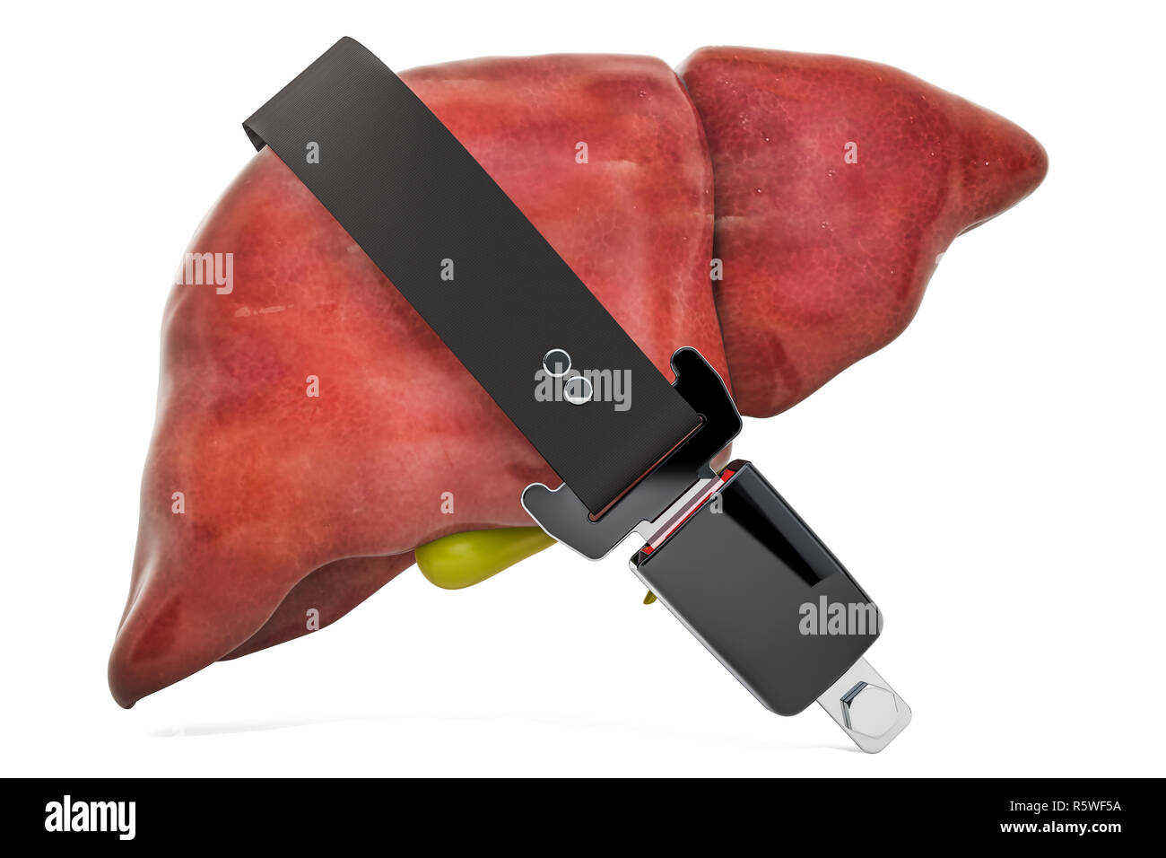 Human liver with safety belt, protect concept. 3D rendering isolated on white background Stock Photo