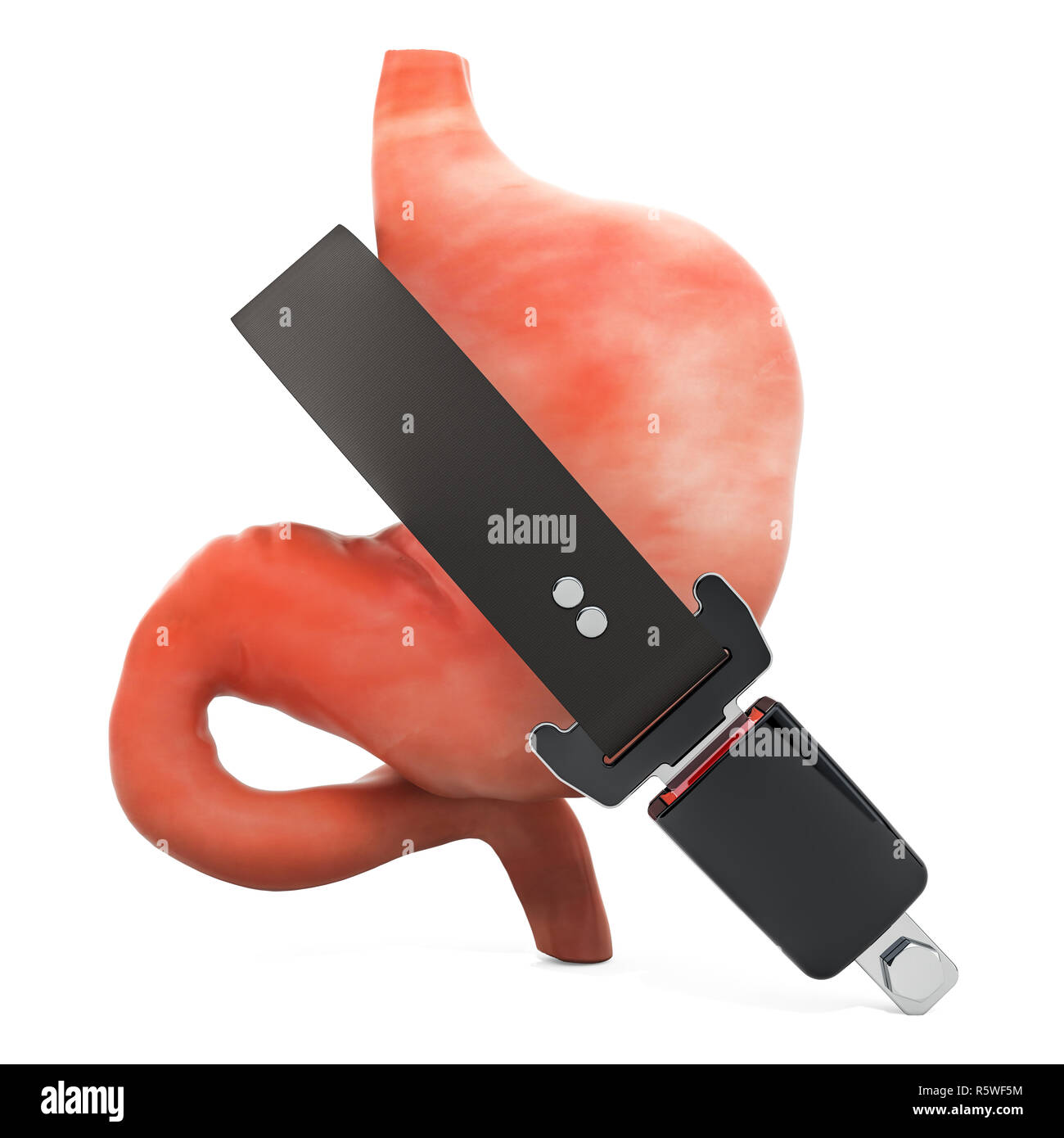 Human stomach with safety belt, protect concept. 3D rendering isolated ...