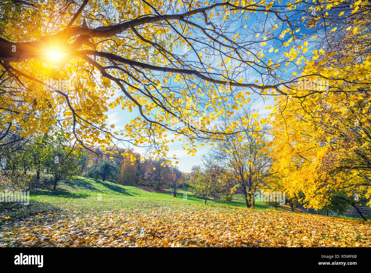 Sunny autumn in countryside Stock Photo