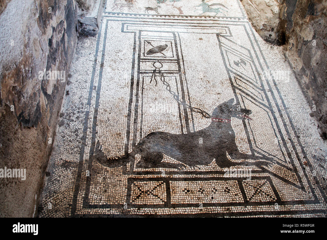 AT POMPEI - ON 06/22/ 2017 - Mosaic representing a dog in the   ancient roman town of Pompeii, destroyed by vesuvius eruption in 70 d.c. Stock Photo