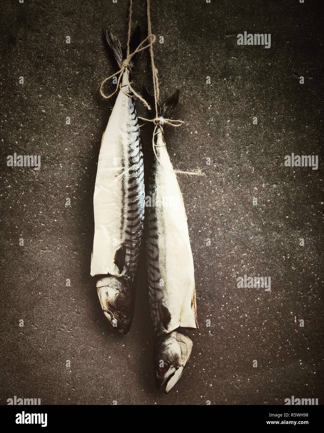 Two Fish hanging on a rope Stock Photo Alamy