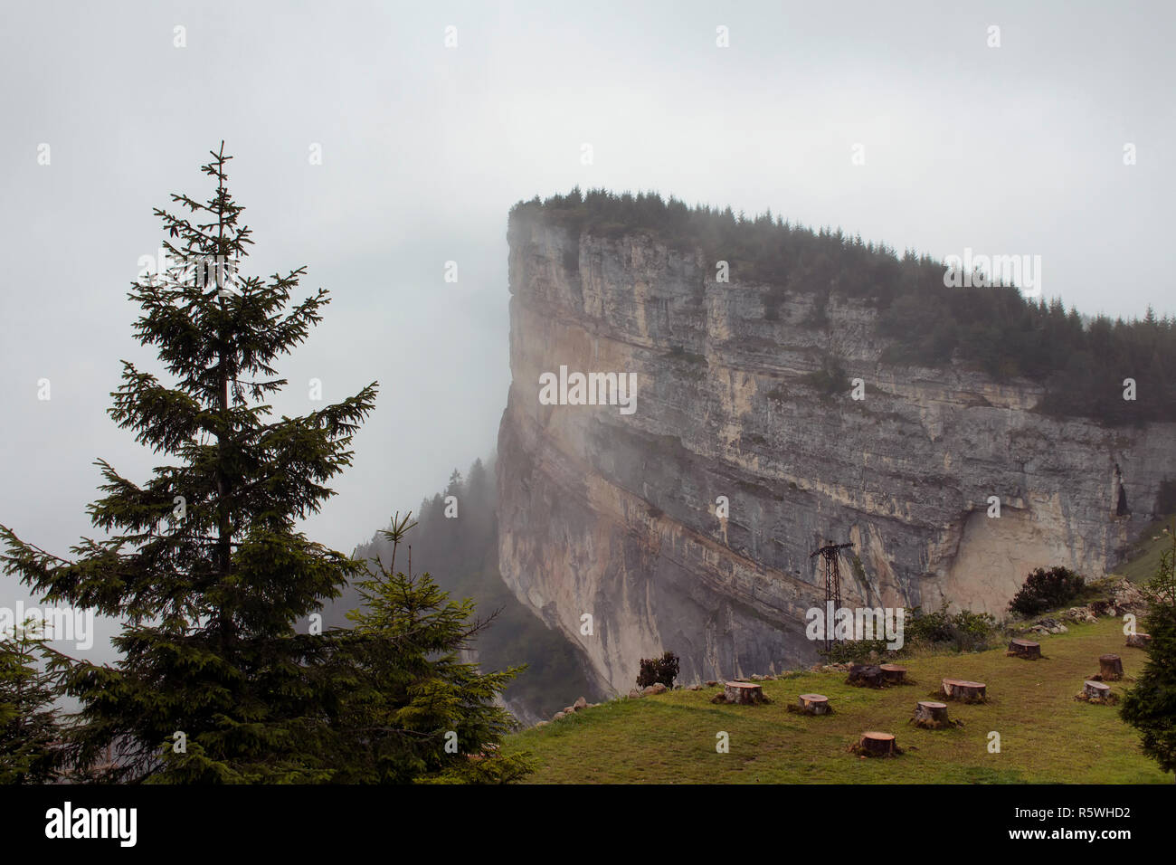 View of a big rock on top of a mountain, trees and beautiful nature in fog. The image is captured in Trabzon/Rize area of Black Sea region located at  Stock Photo