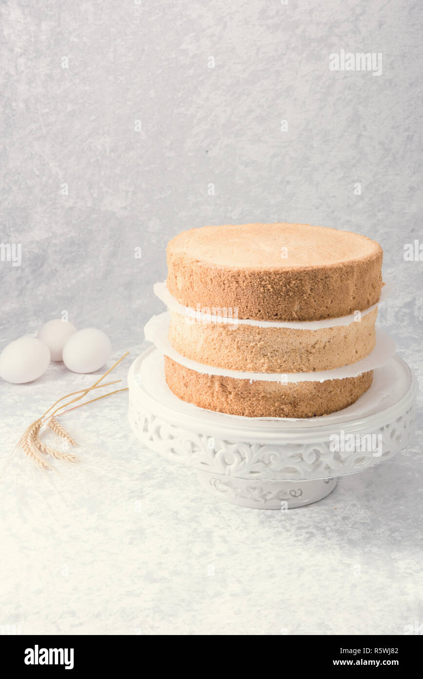 a tasty biscuit - cake layer Stock Photo