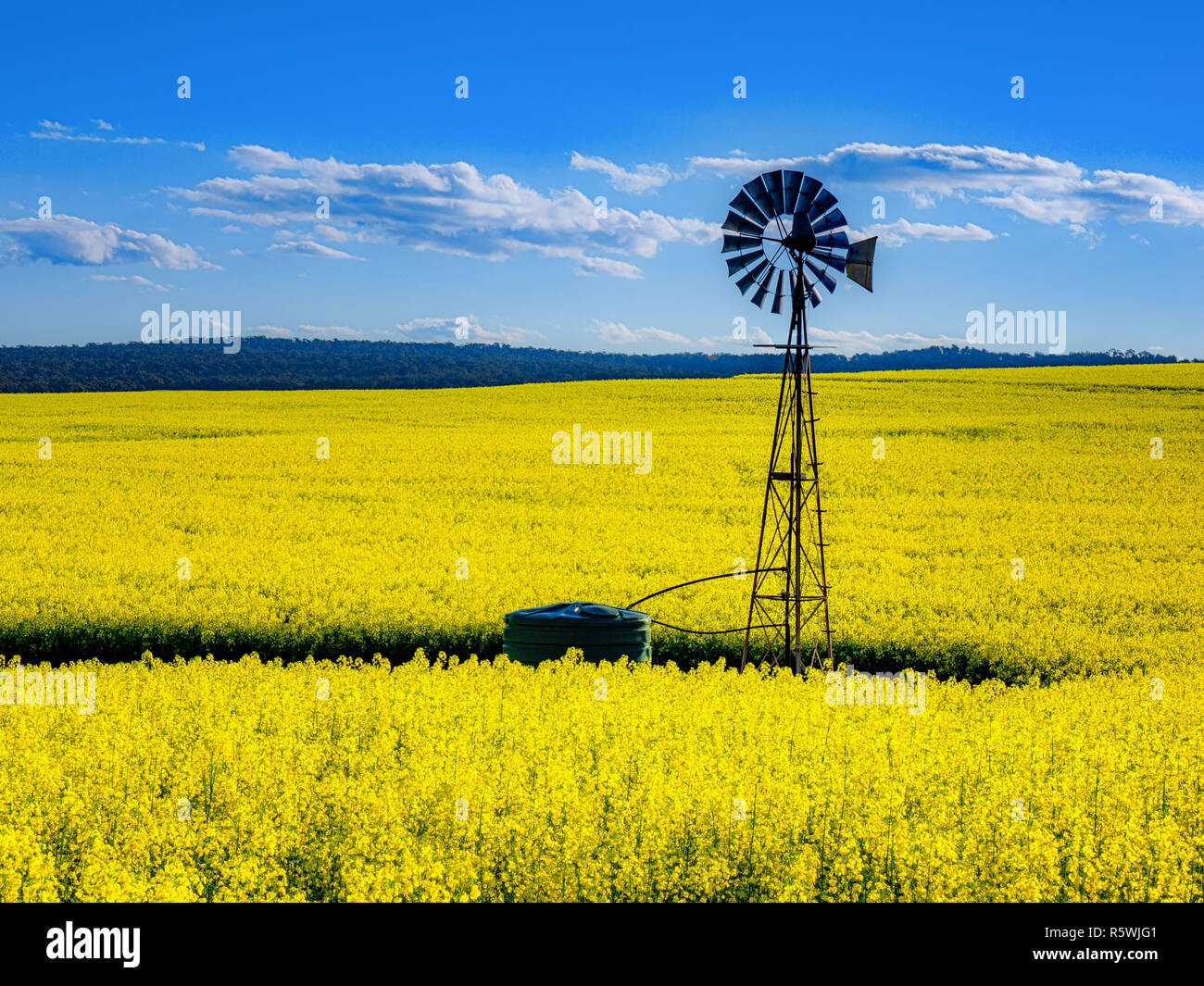 Wind turbine canola field hi-res stock photography and images - Alamy