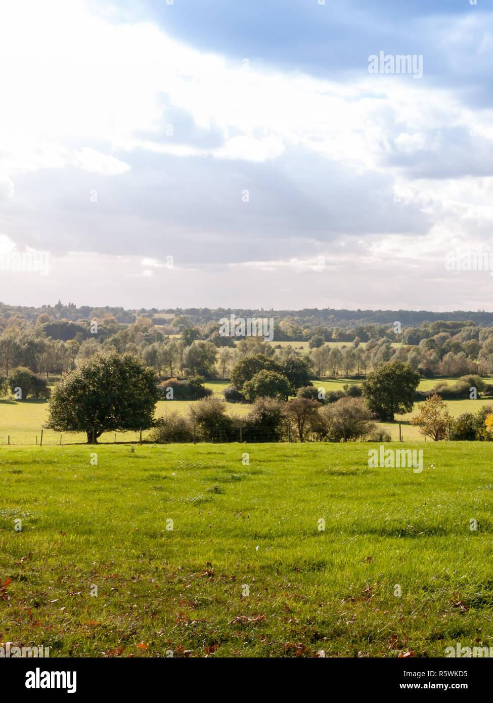 beautiful country side scene with grass lawn hills and trees day Stock Photo