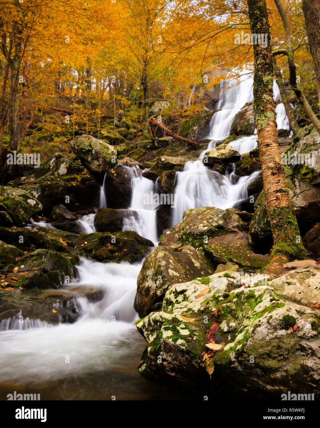 View of Dark Hollow Falls during peak fall foliage in Shenandoah