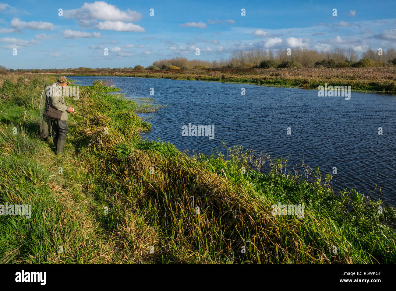A pike angler fishing the Little Ouse river at Lakenheath Fen, Suffolk, UK, in the autumn Stock