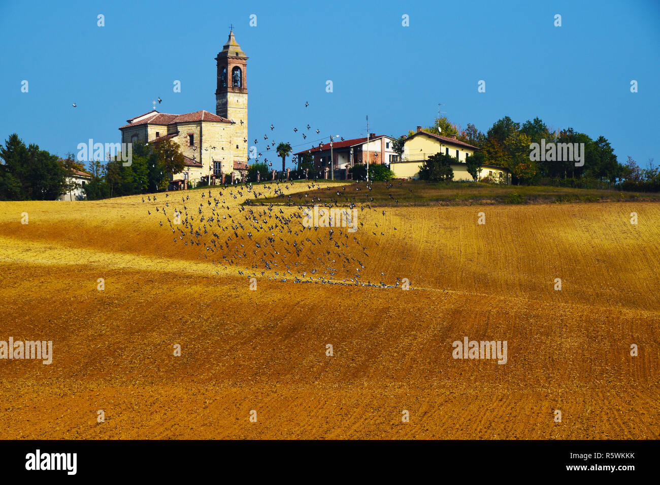 Flock of birds flying near Rural village landscape, Mombisaggio, Alessandria, Piedmont, Italy Stock Photo