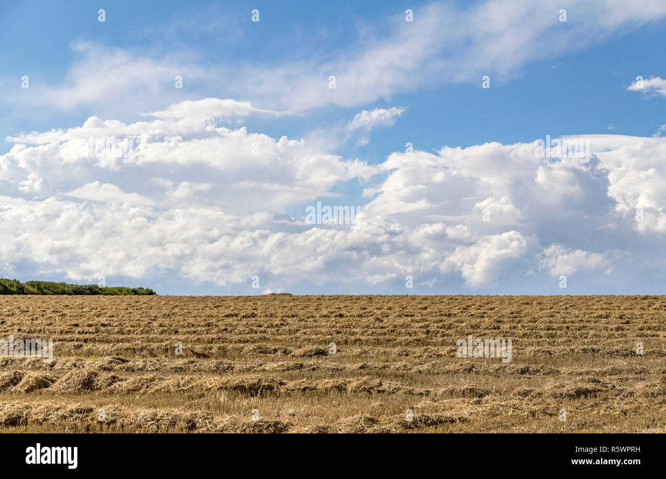rural landscape with clouds Stock Photo - Alamy