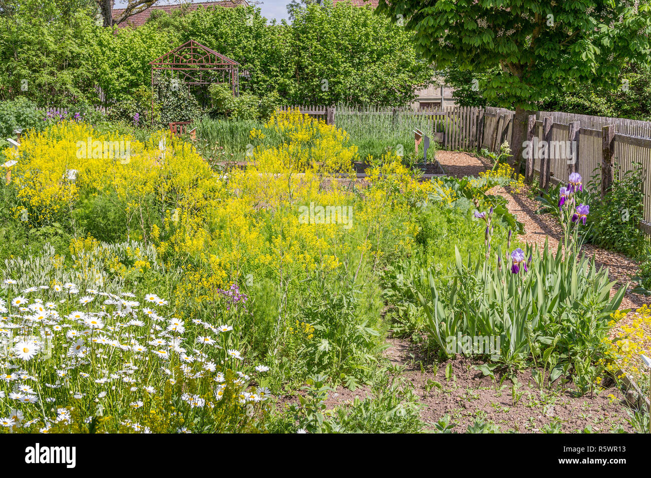 traditional rural herb garden Stock Photo - Alamy