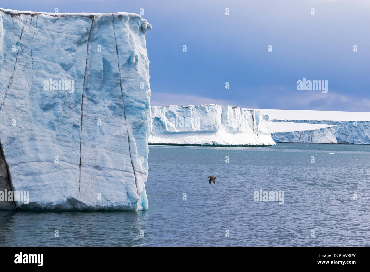 Glacier and sea, Negribreen, Eastern coast of Spitsbergen, an island in the Svalbard Archipelago, Norway. Stock Photo