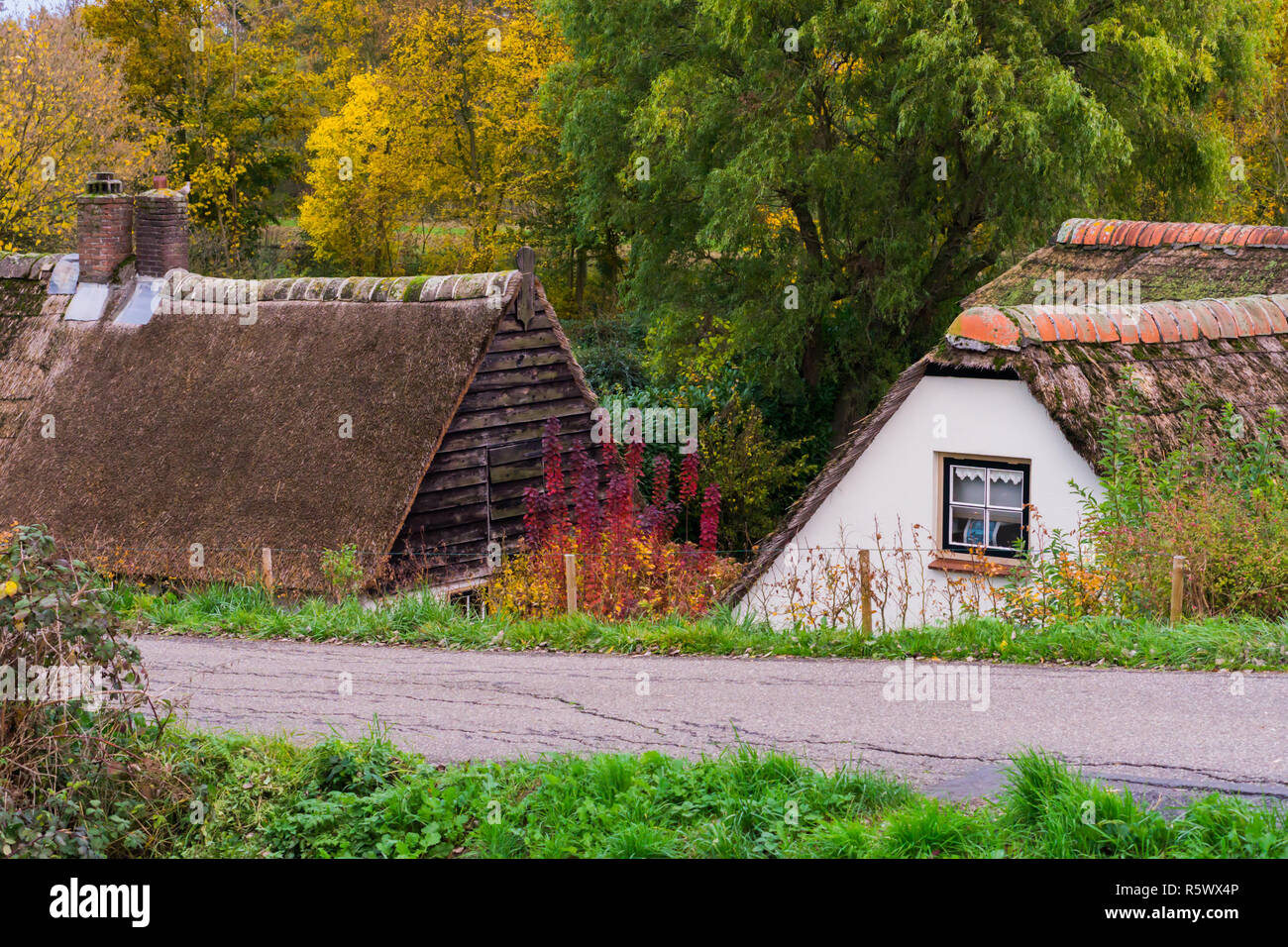 a countryside road with old typical dutch cottages with thatched rooftops Stock Photo