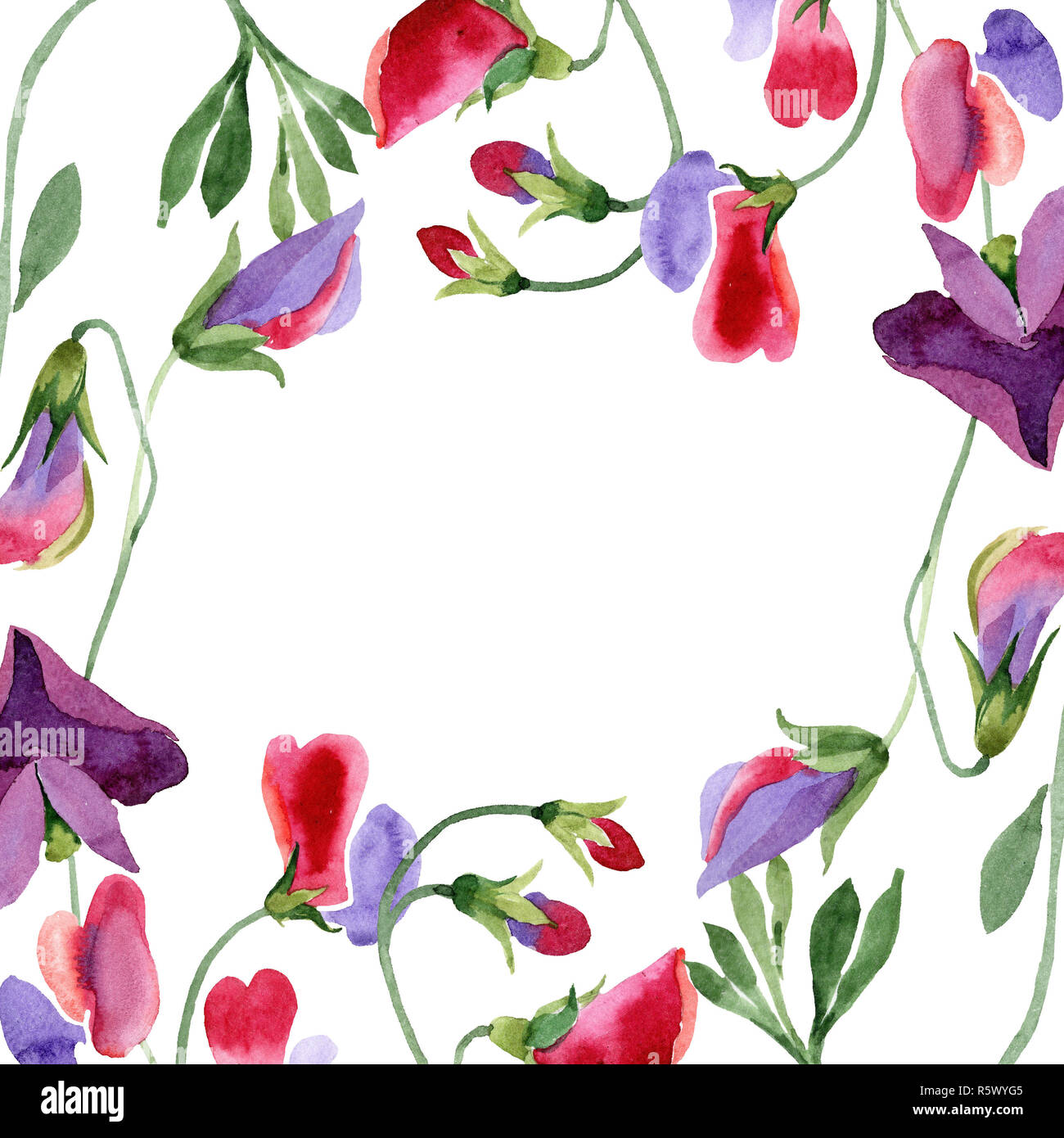 Free Free 53 Sweet Pea Clip Art Svg SVG PNG EPS DXF File