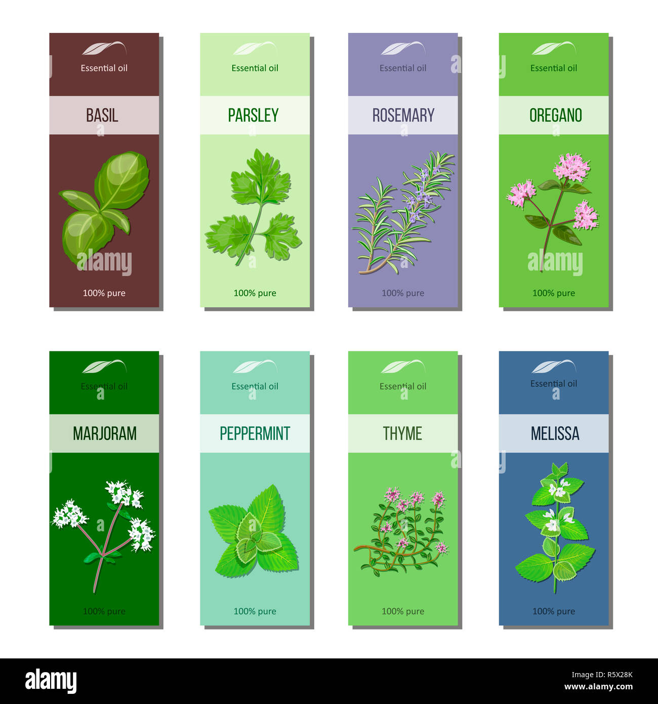 Essential oil labels collection. Basil, parsley, rosemary, oregano, marjoram, peppermint, melissa, thyme. Stripes Stock Photo