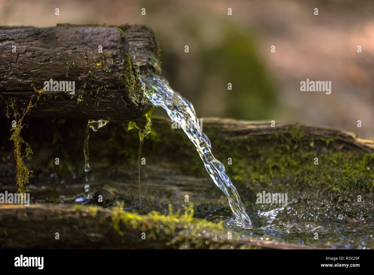 Mountain water spring out of wooden gutter from rocky creek Stock Photo