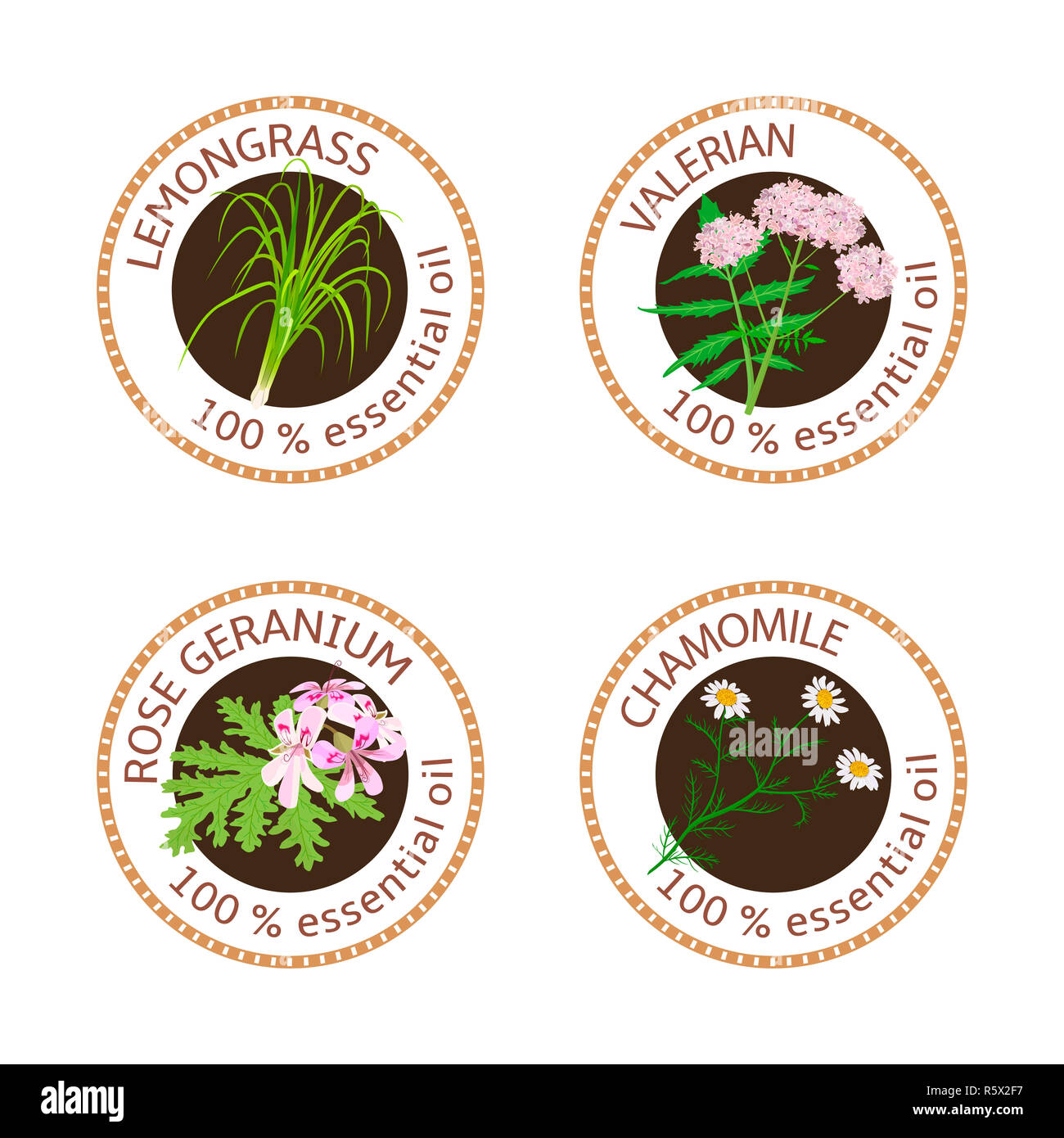 Geranium seeds Cut Out Stock Images & Pictures - Alamy