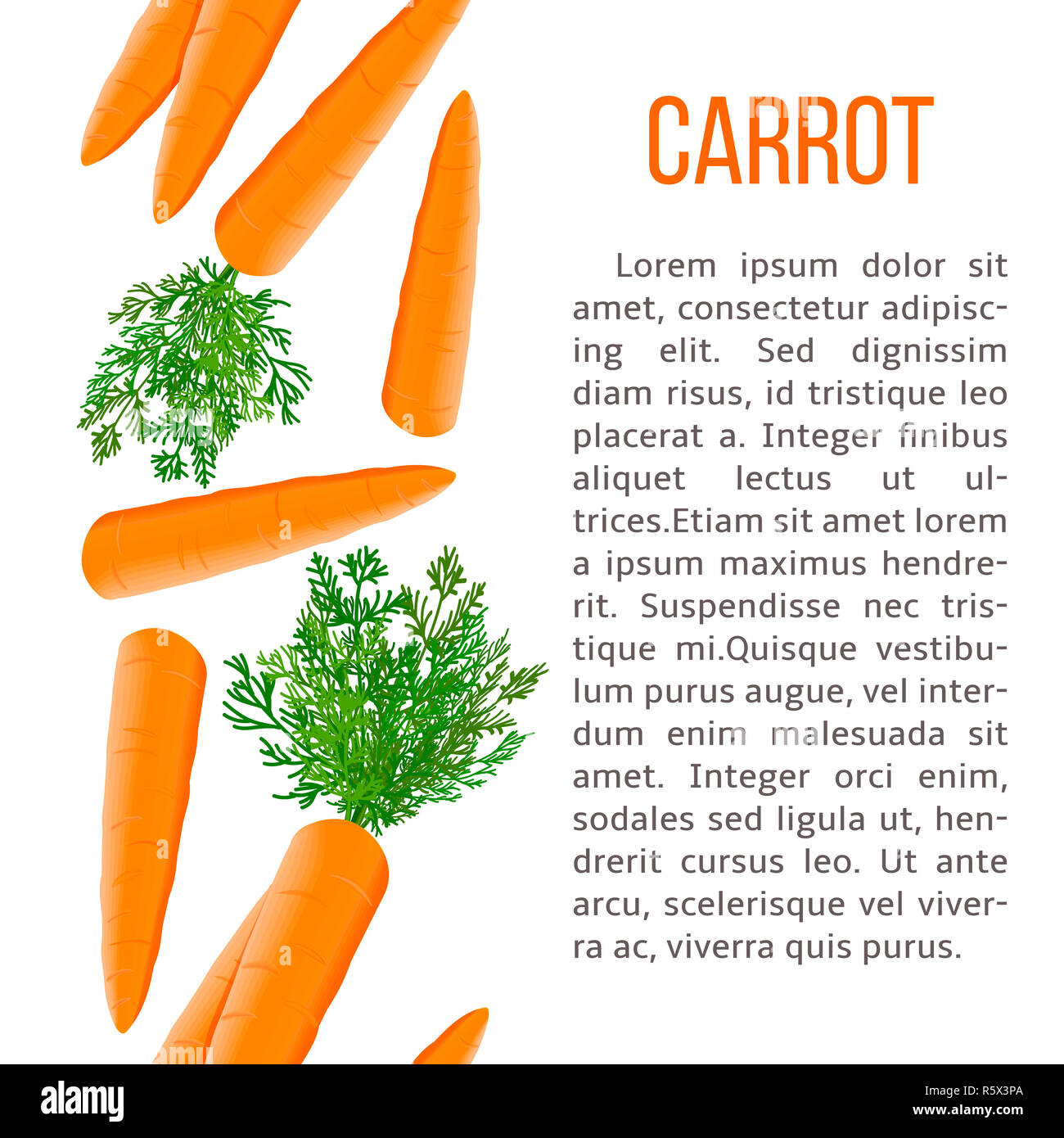 Fresh carrots stripe with description text Stock Photo Alamy