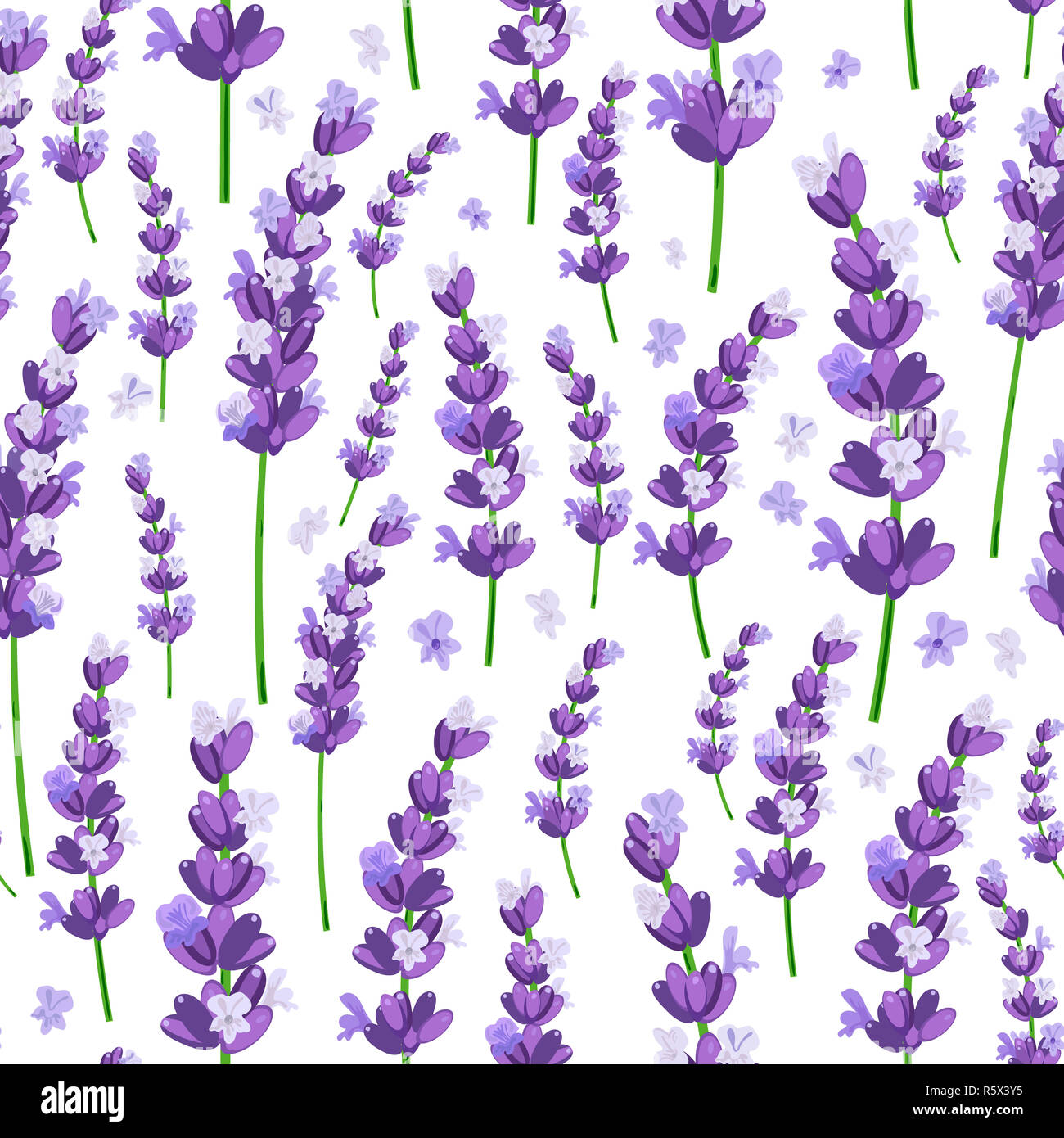 Seamless pattern of provence violet lavender flowers on a white ...