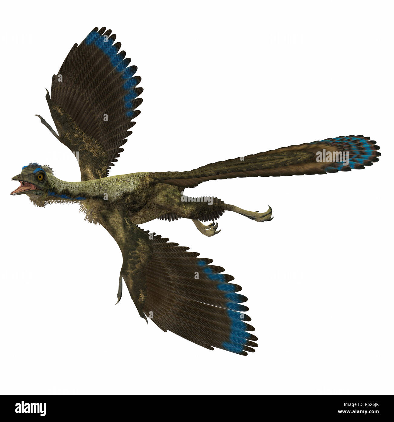 Archaeopteryx germany hires stock photography and images Alamy