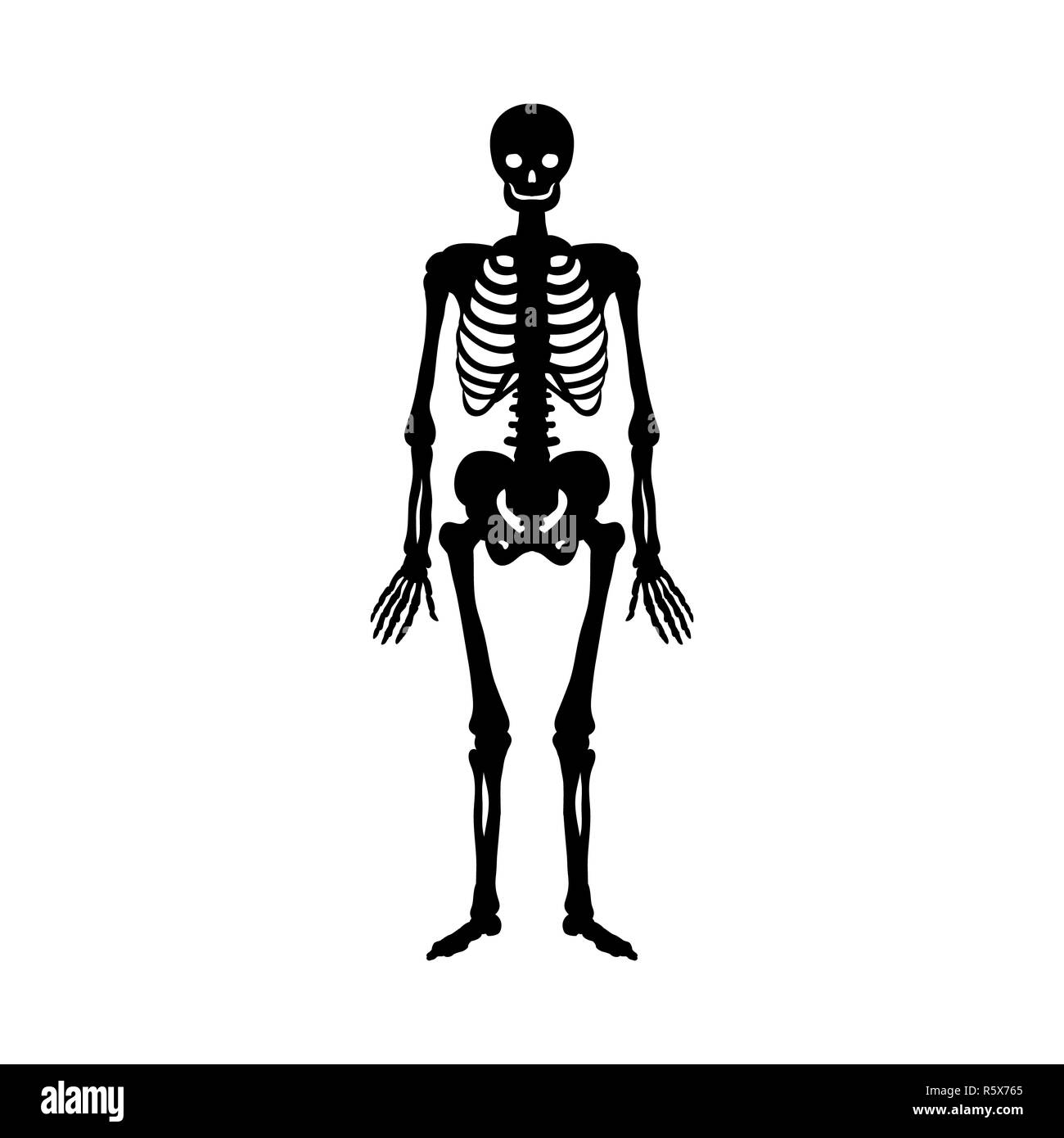 skeleton-silhouette-ancient-monster-fantasy-stock-photo-alamy