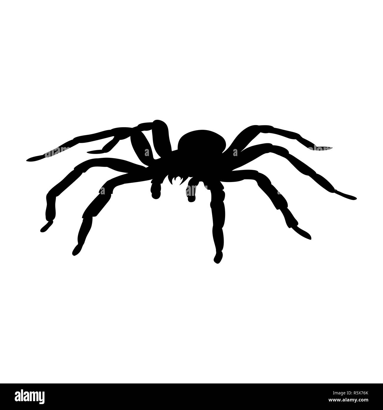 Spider monster silhouette ancient mythology fantasy Stock Photo