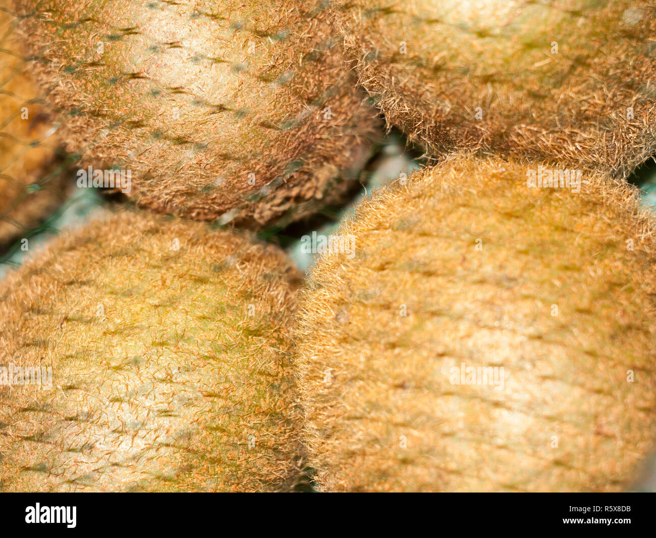 Hairy fruit cover hi-res stock photography and images - Alamy
