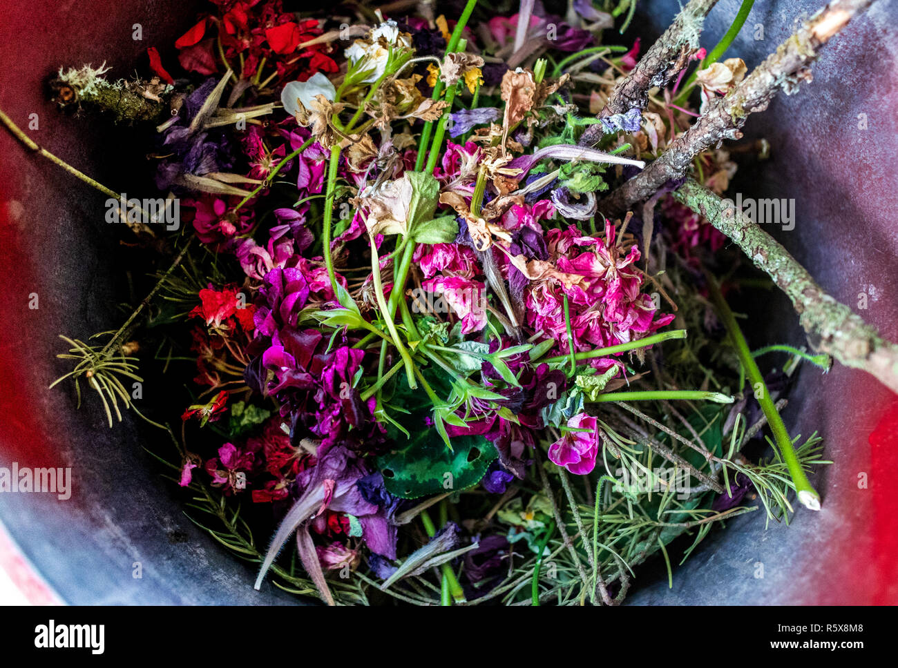 Waste bin full of garden clippings and various plant parts Stock Photo