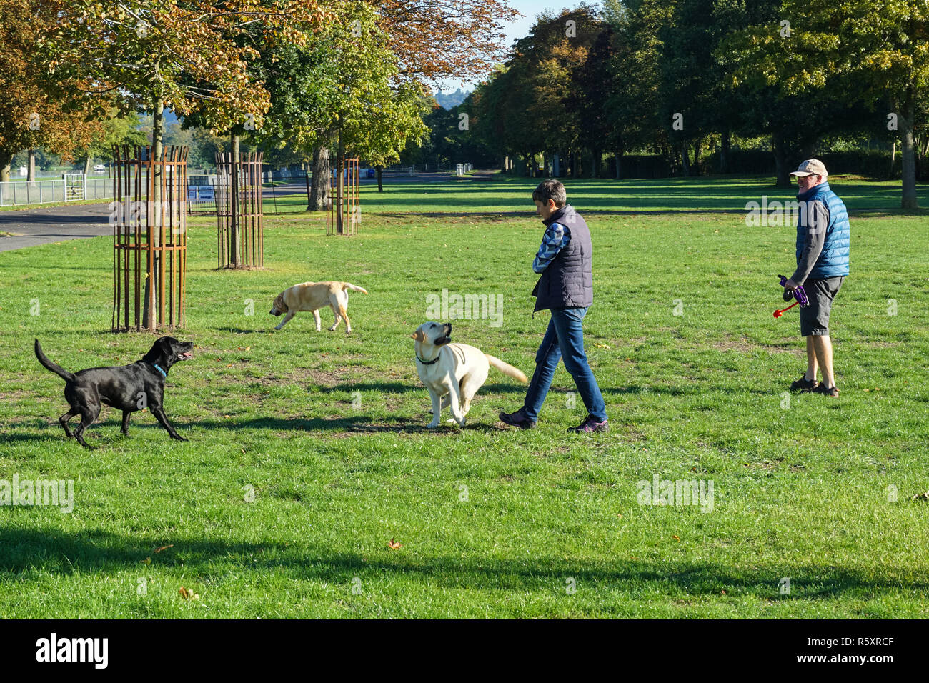 Dog walkers in Henley on Thames, Oxfordshire, England United Kingdom UK Stock Photo
