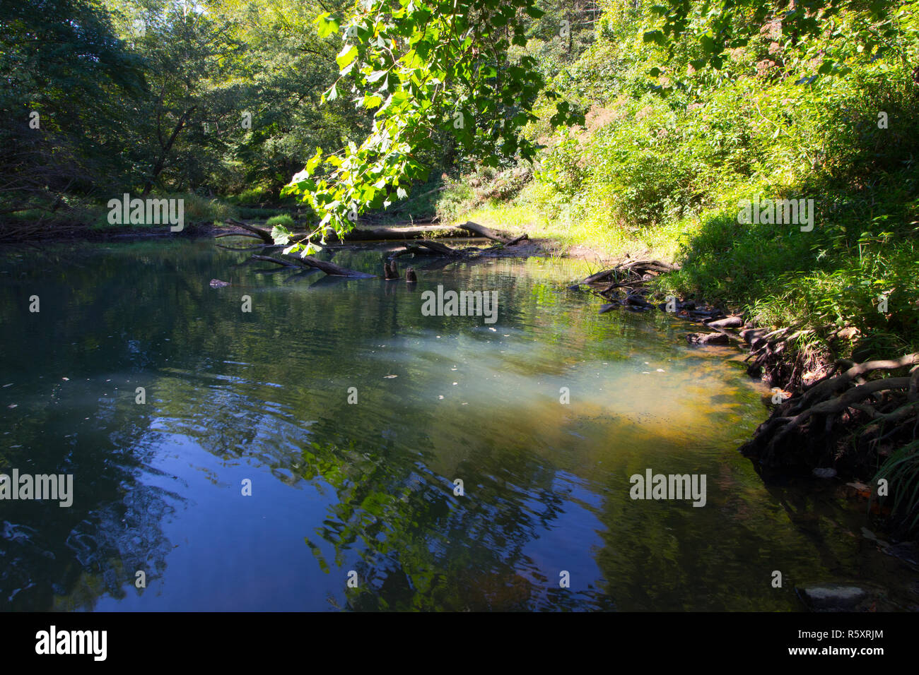 Raccoon Creek, Ohio Stock Photo Alamy