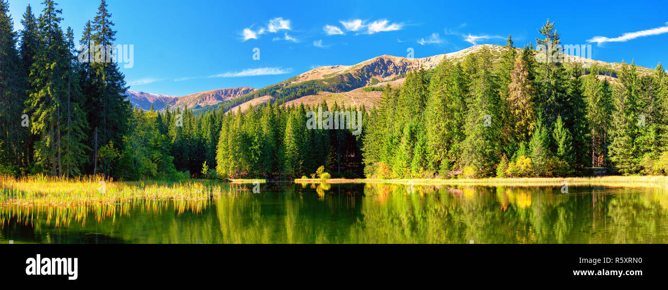 Mountain lake low Tatras National Park Stock Photo