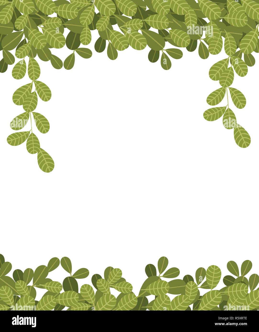 Hanging climbing vines with green leaves. Flat leaves hanging down