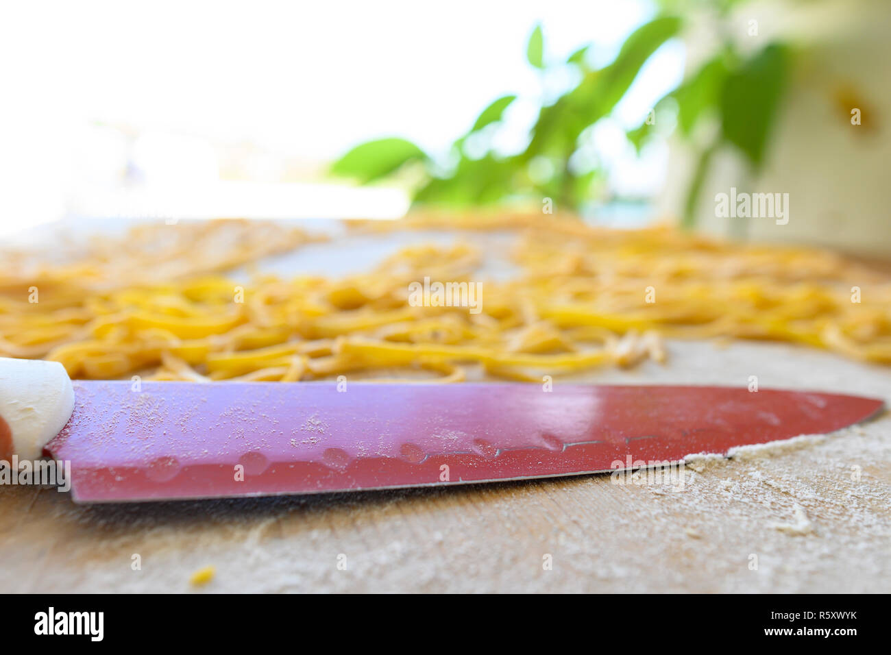 (selective focus) Fresh pasta called 'Fettuccine' made from fresh eggs