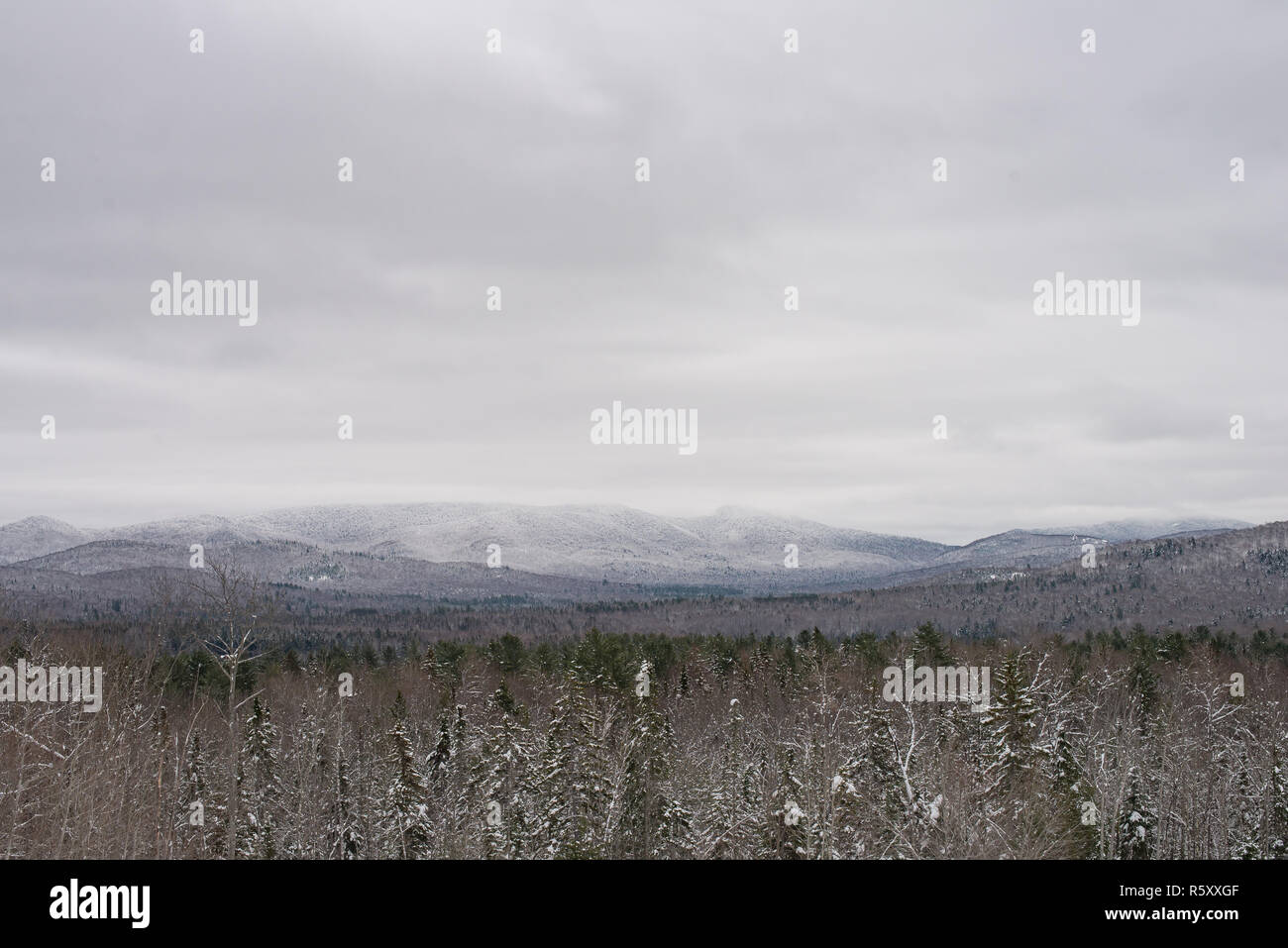 A winter landscape or snowscape of the Adirondack Mountains near Indian Lake, NY USA in the Adirondack Park. Stock Photo