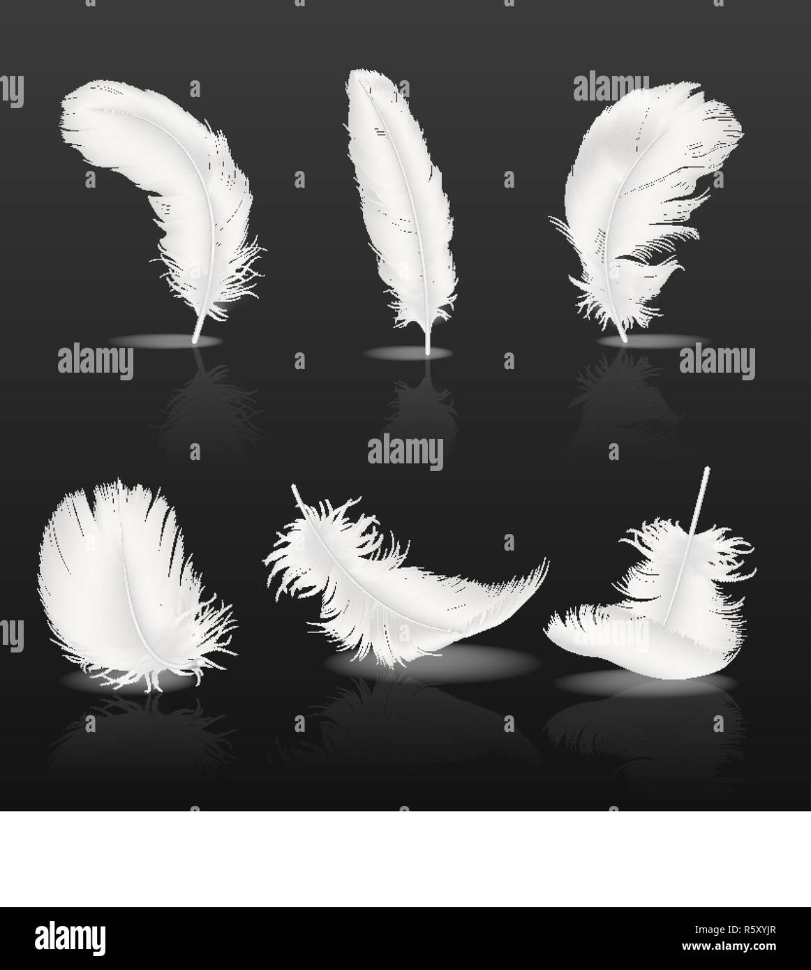 1,874,802 White Feathers Background Images, Stock Photos, 3D objects, &  Vectors