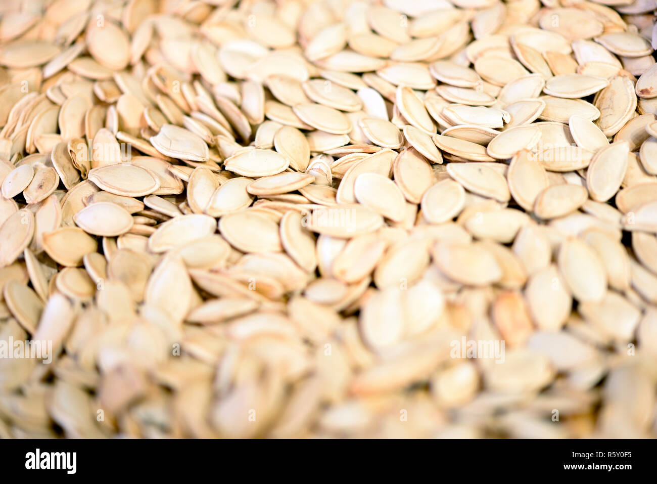 dry pumpkin seeds Stock Photo Alamy