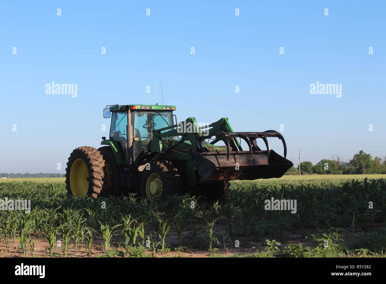 John Deere Tractor with a Front End Loader in a Corn Field Stock Photo
