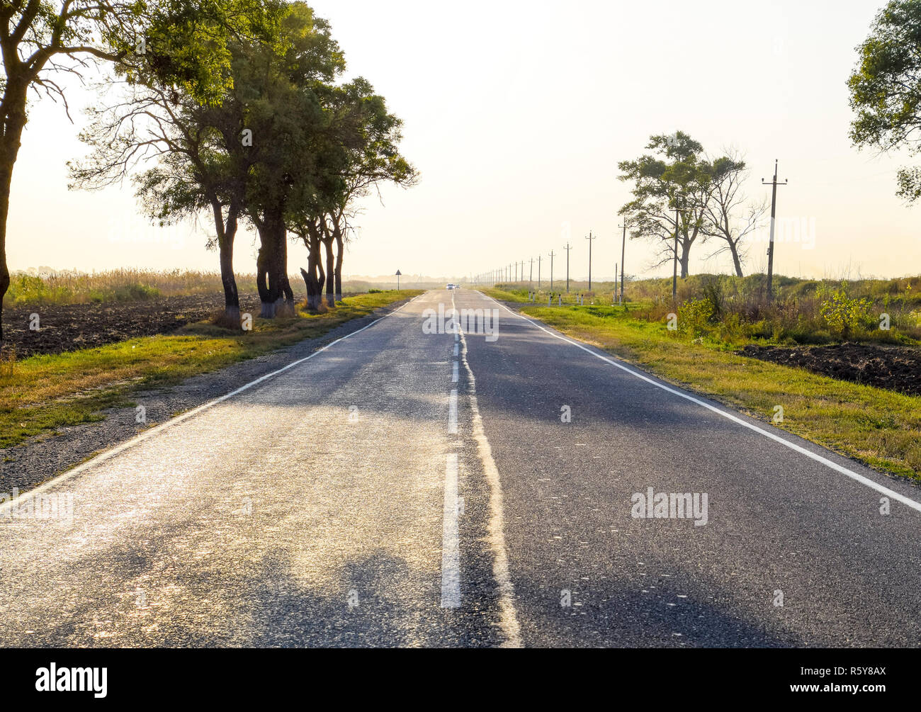 Asphalt road among trees and fields. Russian roads. Stock Photo