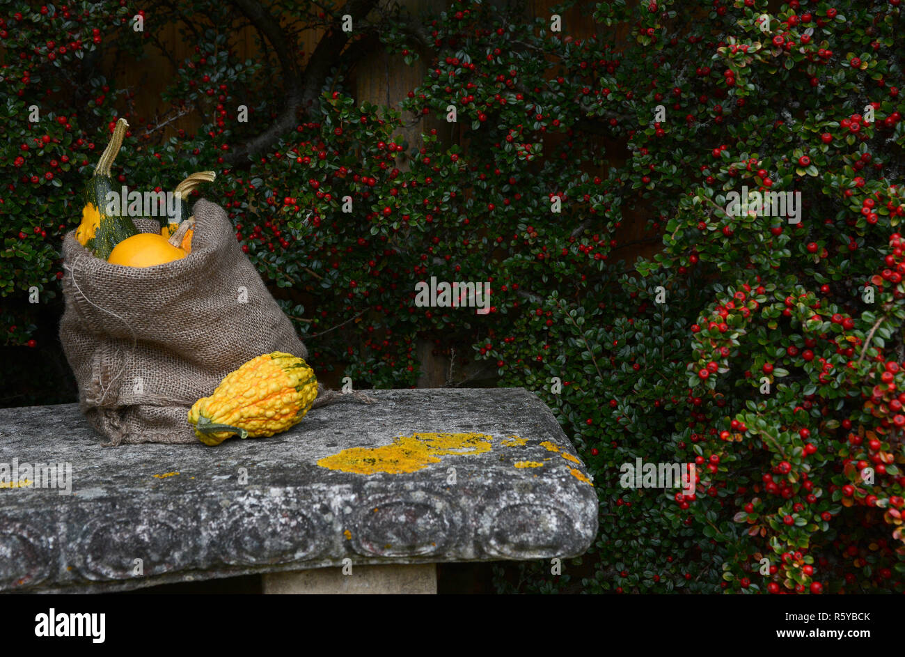 Stone bench with jute sack full of ornamental gourds Stock Photo